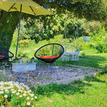 Agriturismo Podere Le Palaie Monterotondo  Buitenkant foto