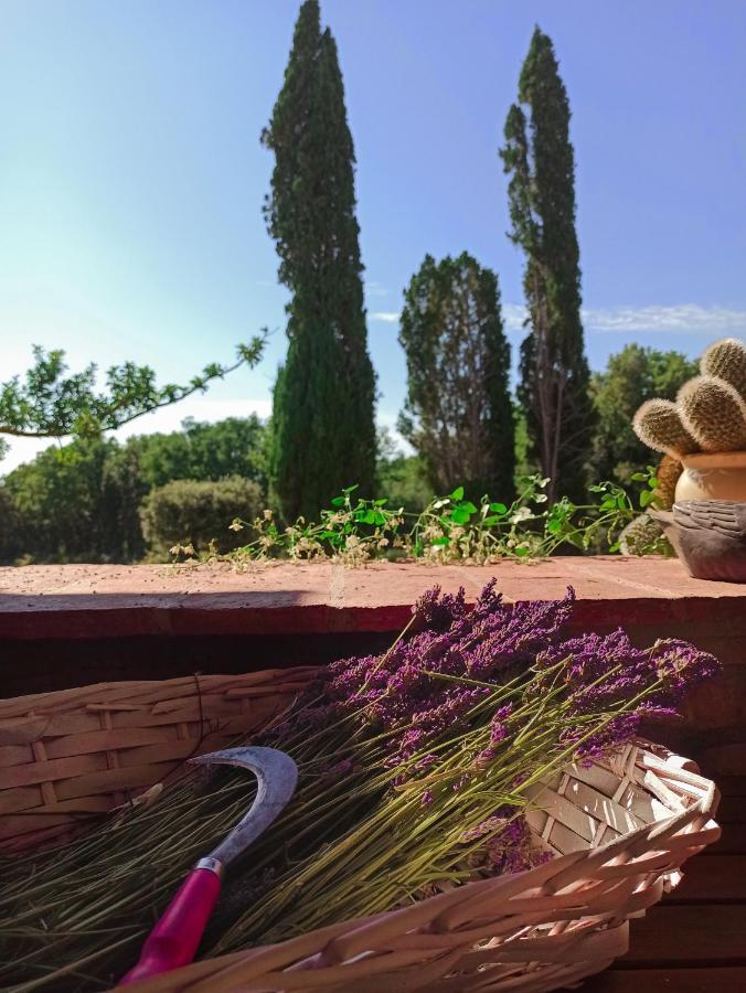 Agriturismo Podere Le Palaie Monterotondo  Buitenkant foto