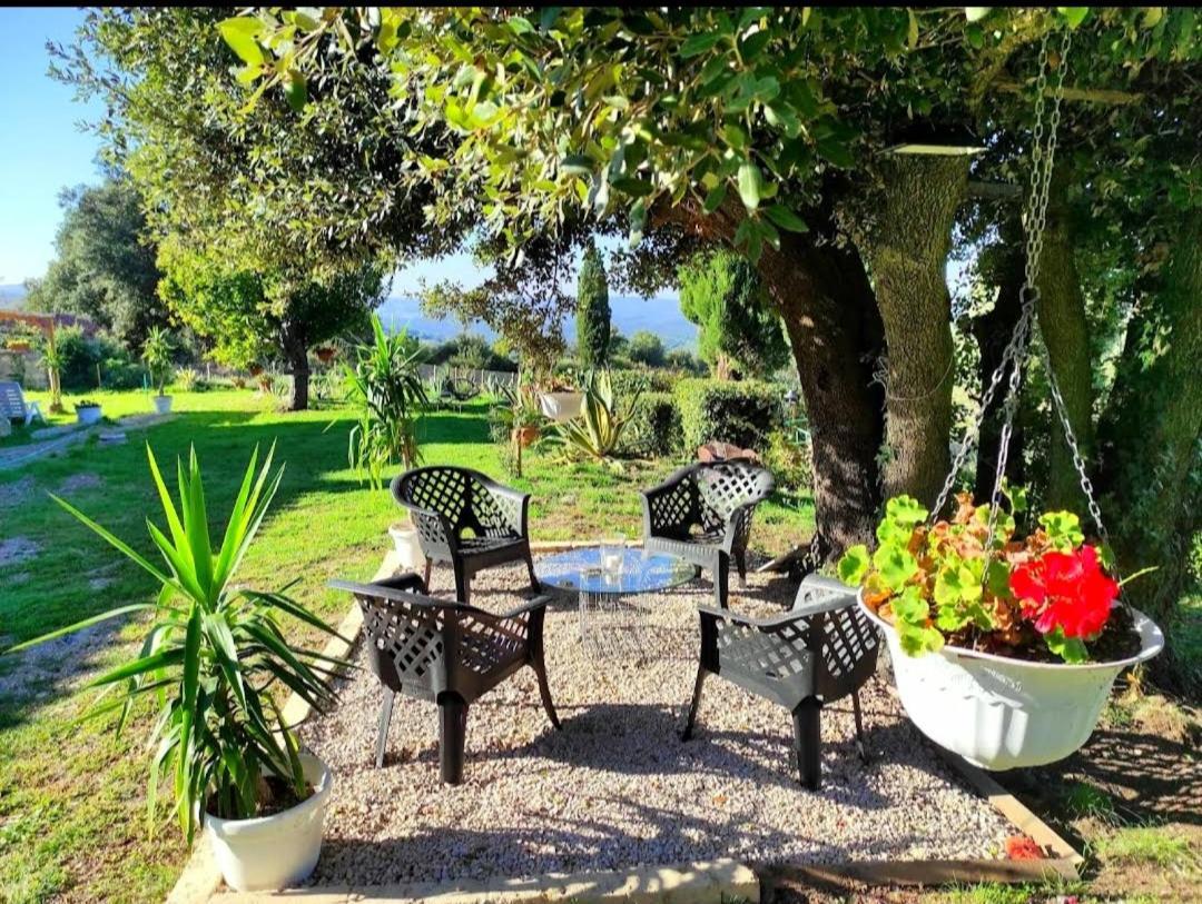 Agriturismo Podere Le Palaie Monterotondo  Buitenkant foto