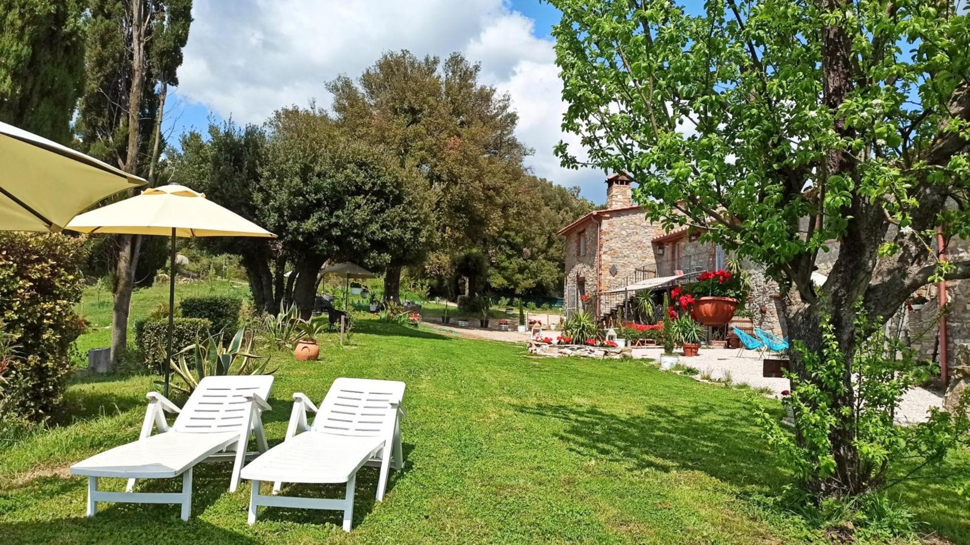 Agriturismo Podere Le Palaie Monterotondo  Kamer foto
